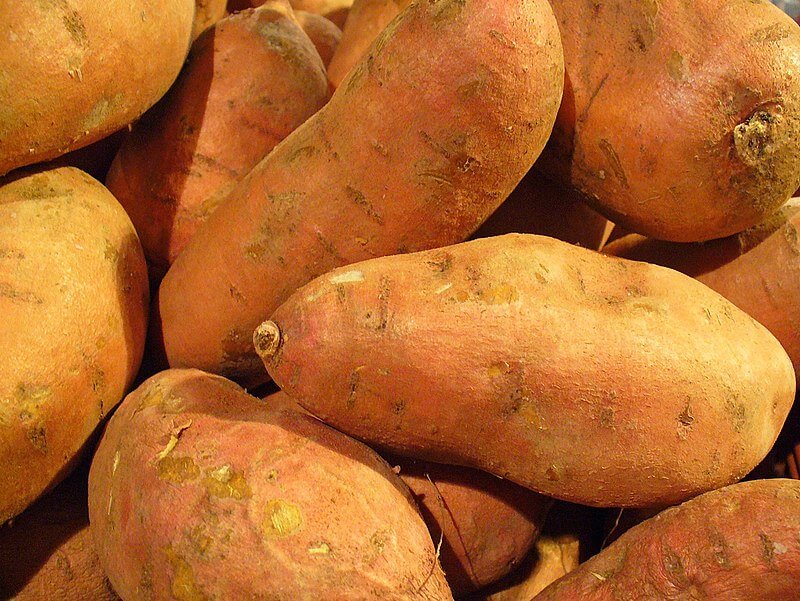 sweet potato 1